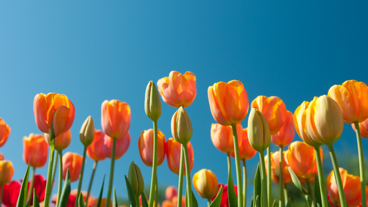 Spring Recipes You’ll Love (With Tools You’ll Adore)
